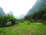 广西宜州风光