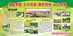 绿化家园 人人共创 保护树木 人人有责