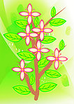 花树