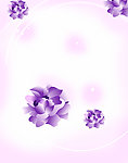 移门 花纹