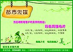 名片广告