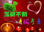 玉树不倒