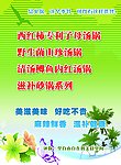 火锅海报