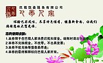 现金券背面