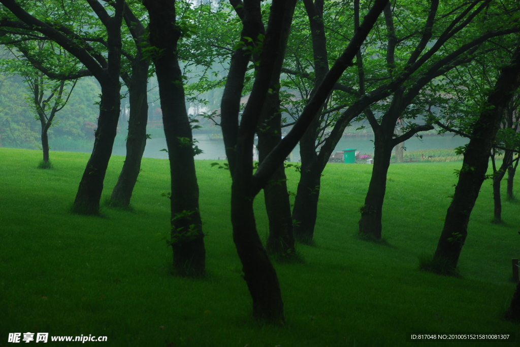 雨后风景