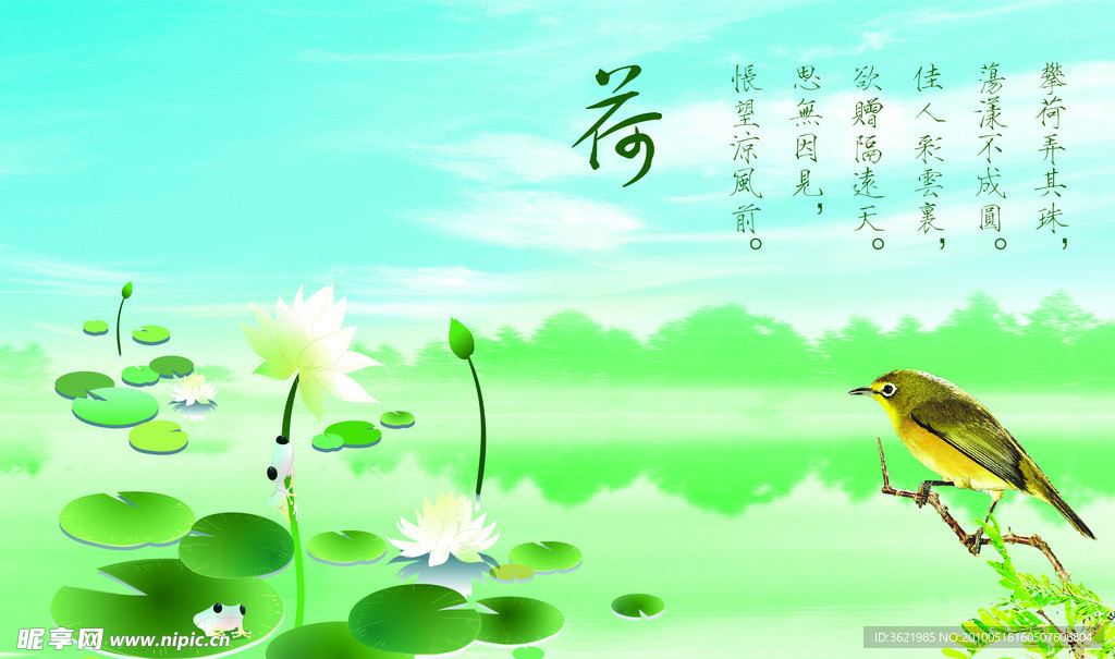 荷花