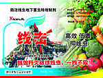 标签设计