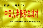 中国人寿