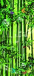 竹子 背景图片