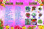 玫瑰花语