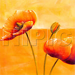 花卉油画 （ 50厘米 X 50厘米 ）