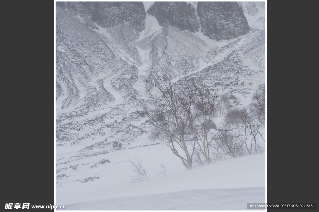 自然雪景