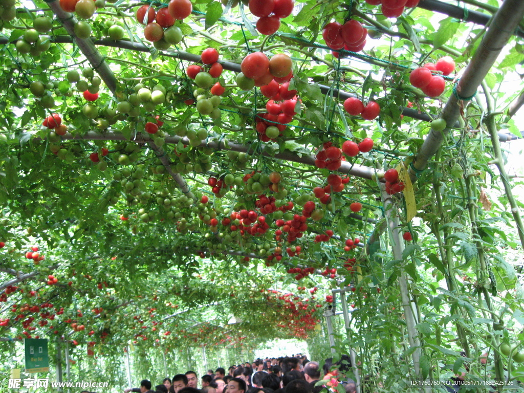 寿光蔬菜博览会