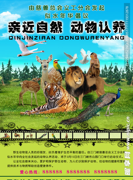 动物认养海报