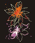 花矢量图
