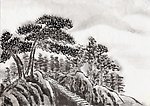 山顶松树