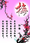 梅花