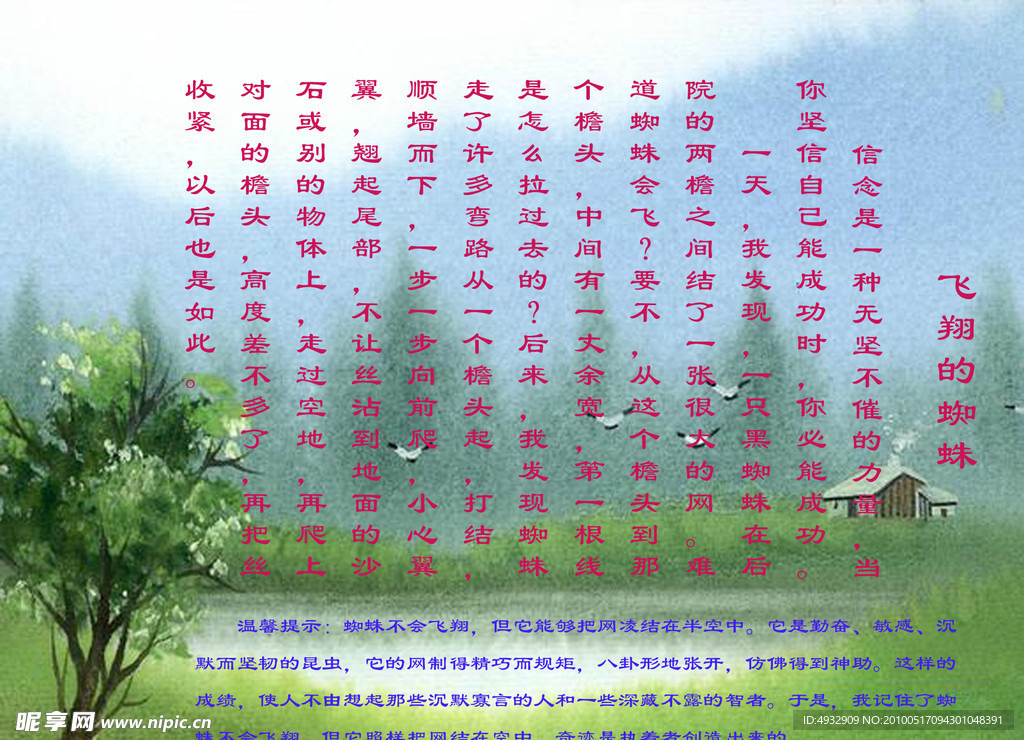 飞翔的蜘蛛