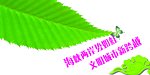 公益广告
