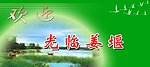 海报