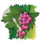 葡萄