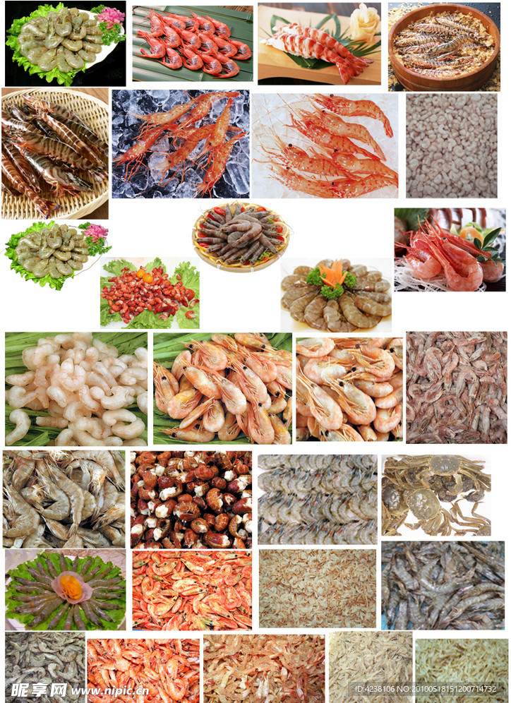 水产类 虾品总汇
