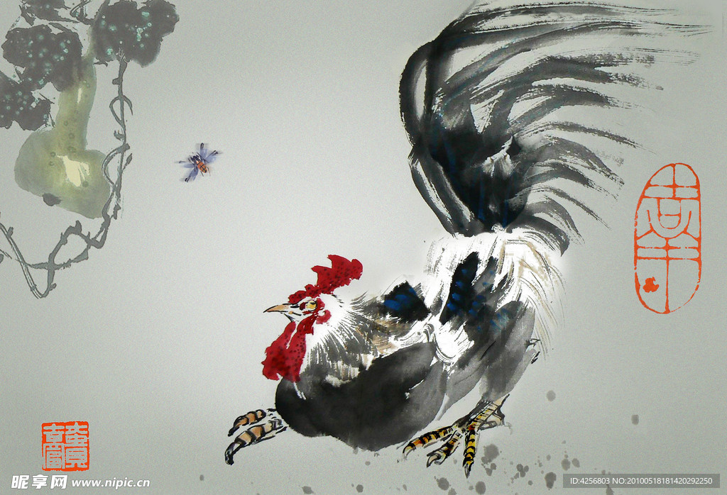 大公鸡