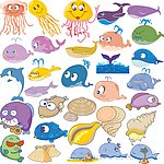 五颜六色的海洋生物