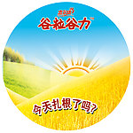 2010年 最新 谷粒谷力7大基础营养