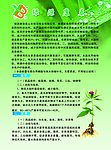 企业宣传彩页