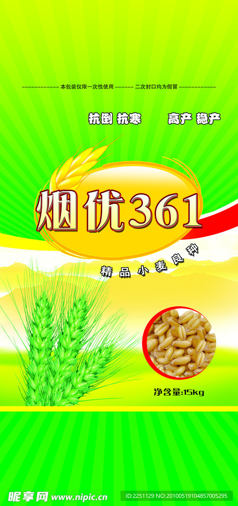 小麦种子