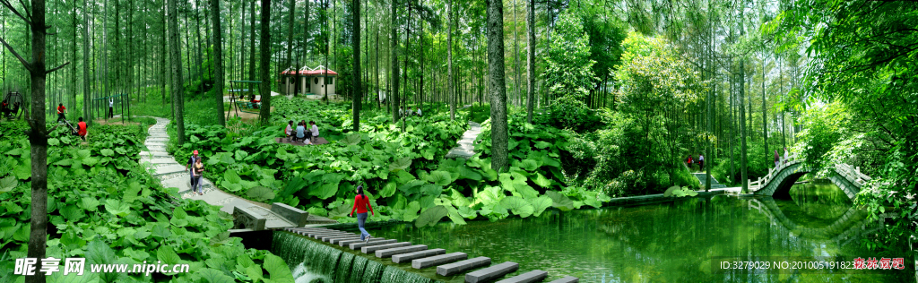 美景