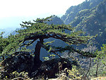 风景