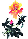 水墨畫花