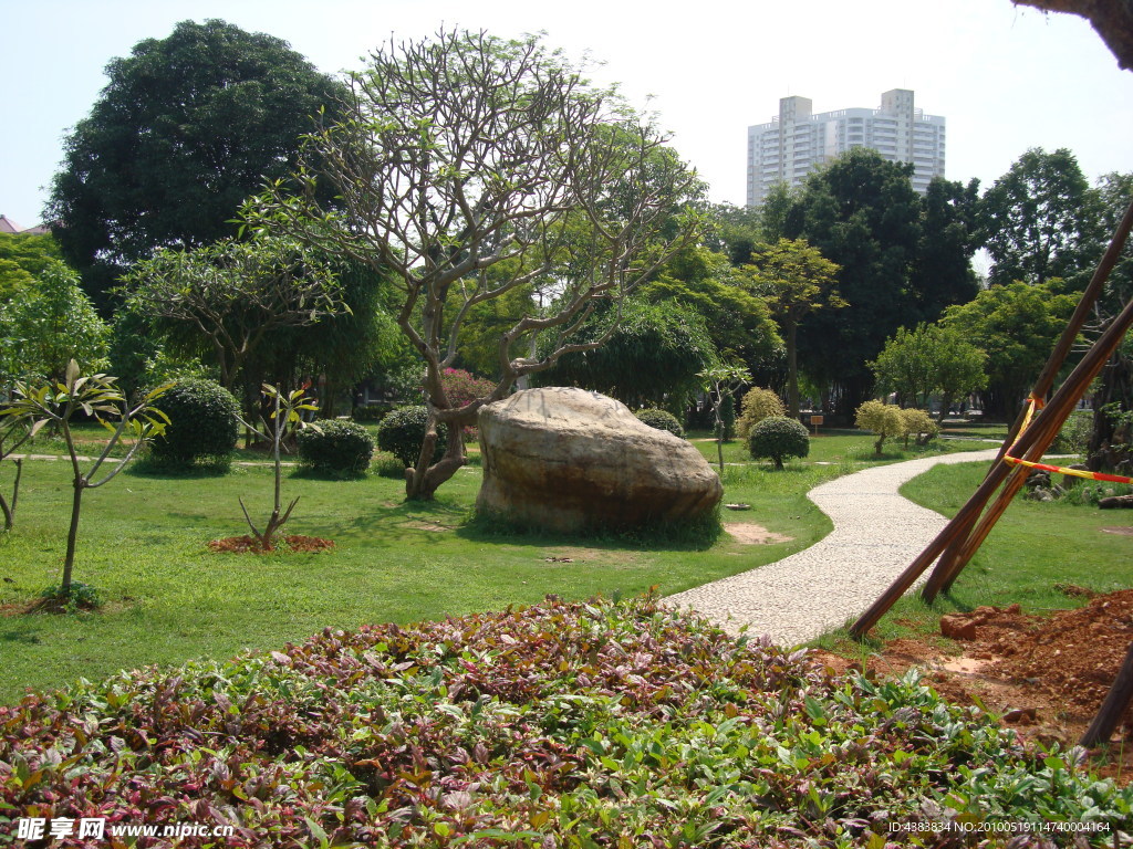 广西大学花园小广场