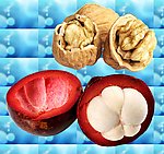 核桃组合