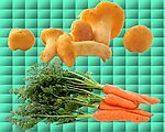 胡萝卜蘑菇组合