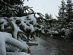 夏日雪景之一