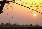 夕阳