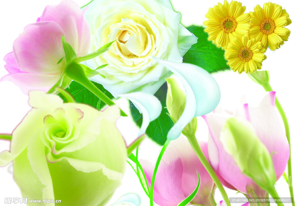 花卉