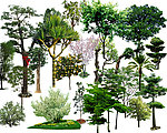 常用植物素材