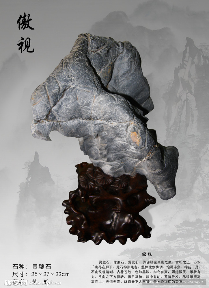 灵璧石鹰