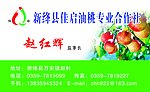 佳启名片