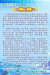 微循环