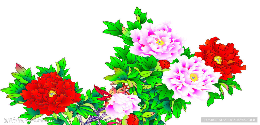 牡丹花