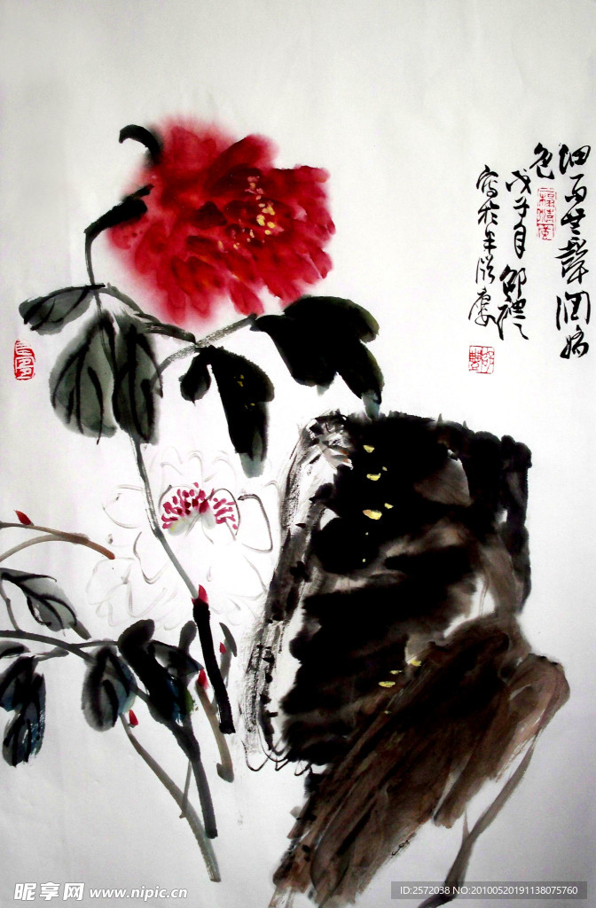 牡丹图