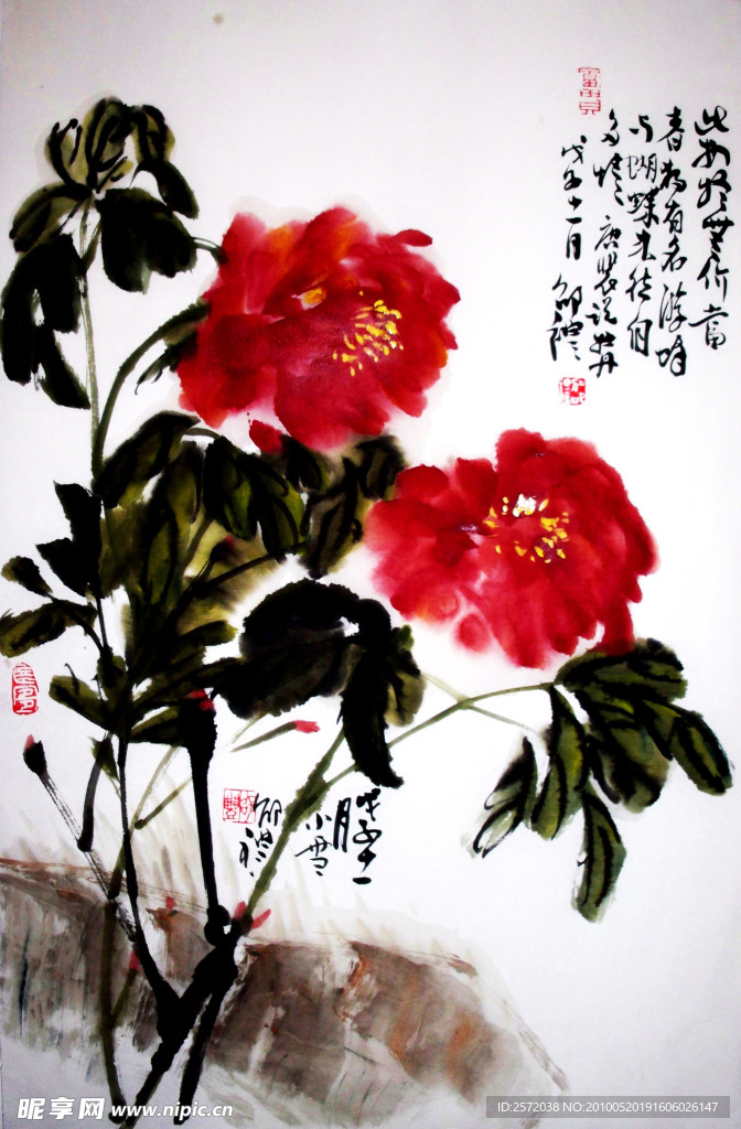 牡丹图