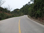 公路 大山 树
