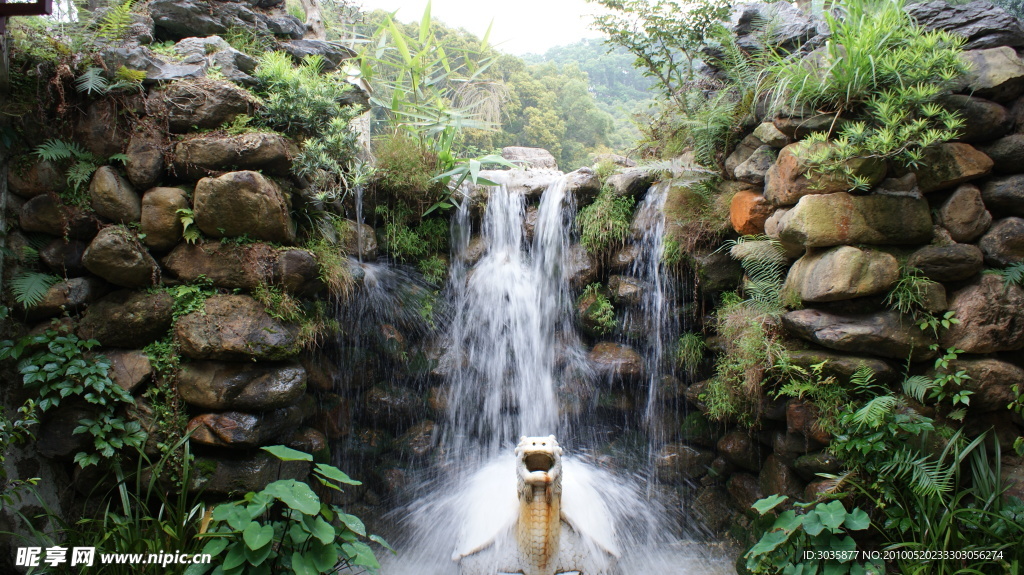 仙湖植物园