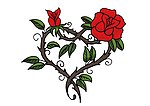 玫瑰花 藤蔓 薔薇